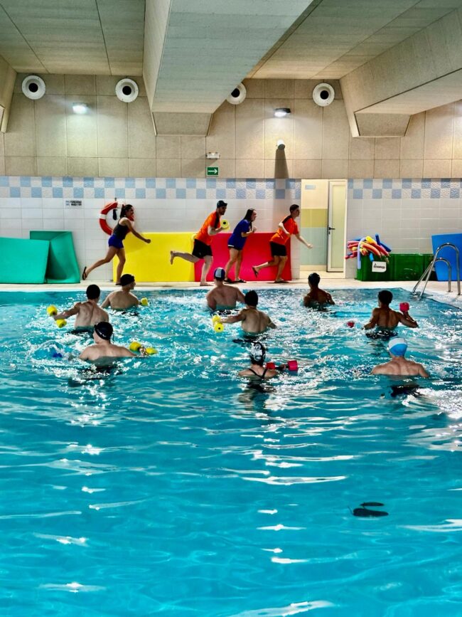 6cf07f43-7743-4483-9605-77c59d2b297a