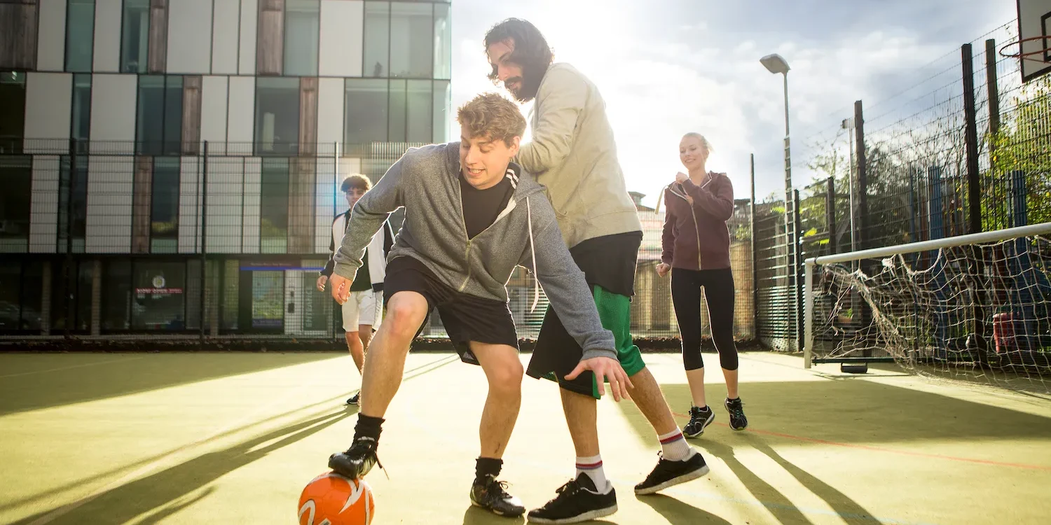 Formación Profesional en Navarra 2026 | Grados Medios y Superiores Oficiales